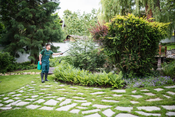 Professional Pest Control in Alta, IA