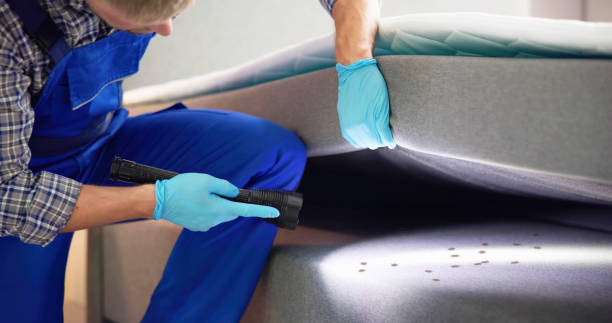 Best Best Pest Control Companies  in Alta, IA